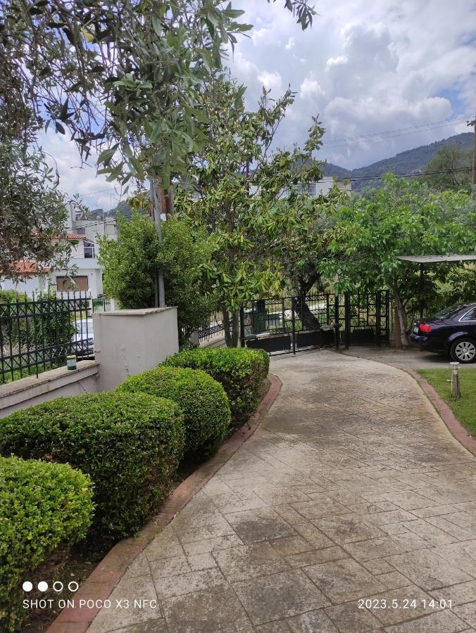 Garden House Villa Palaiontsiflikion Luaran gambar